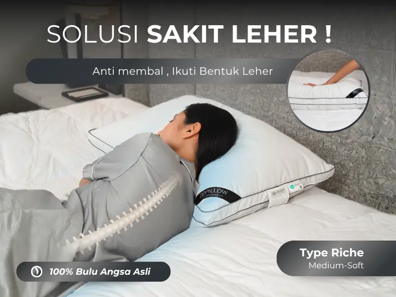 DDPillow Content 1