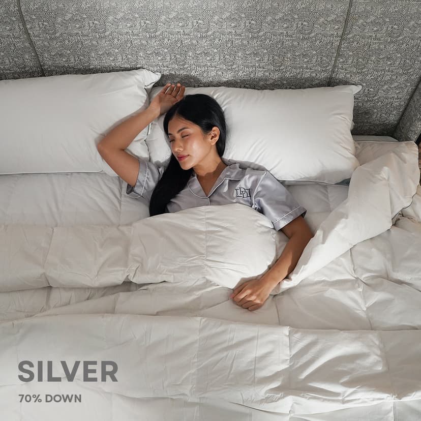 Selimut / Duvet Bulu Angsa Type Silver | 70% Down